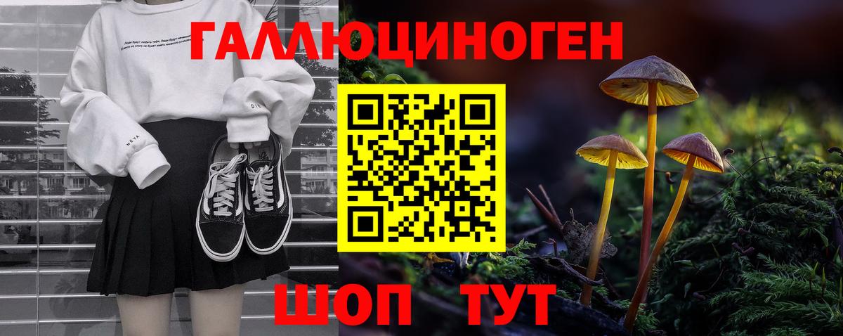 Галлюциногенные грибы Cubensis Волхов
