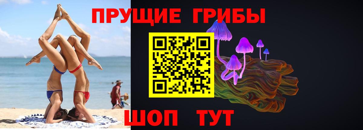 Волхов  Псилоцибиновые грибы мухоморы  наркошоп  Вход с VPN 
